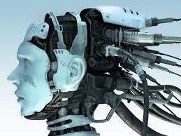 images_14